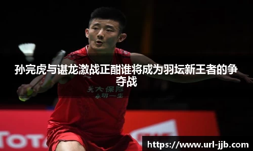 孙完虎与谌龙激战正酣谁将成为羽坛新王者的争夺战